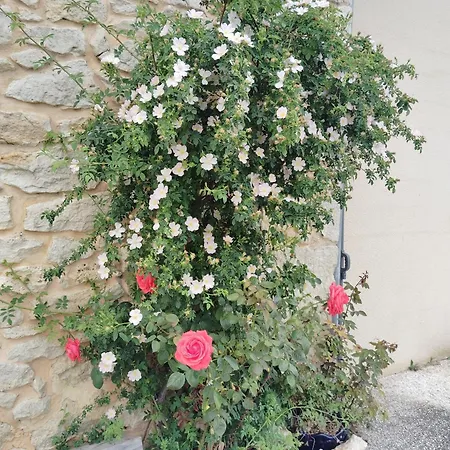 Сasa de vacaciones L'edenwine *
