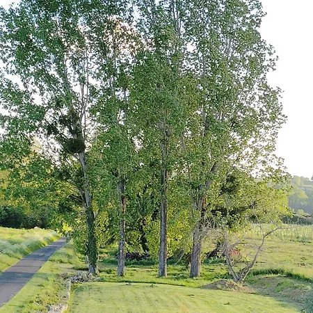 L'edenwine Holiday home Doulezon