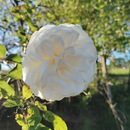 L'edenwine Vakantiehuis *