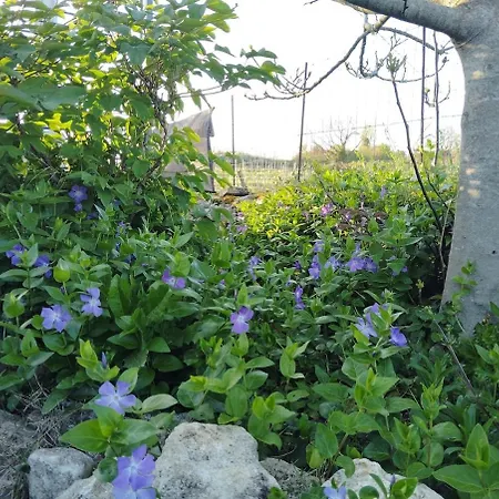L'edenwine Doulezon