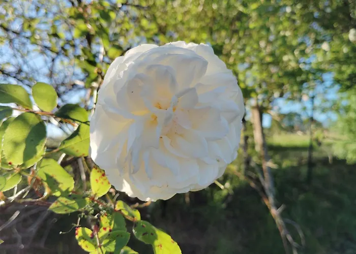 L'edenwine Casa vacanze *